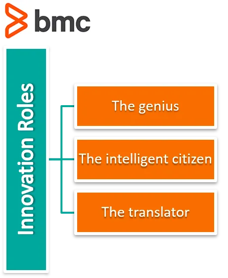 Innovation roles