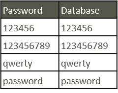 Direct password storage
